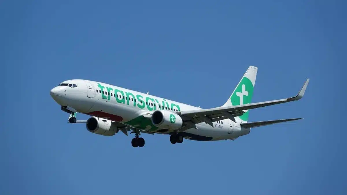 Frayeur à bord : un vol Transavia Paris–Alger contraint de retourner à Orly
