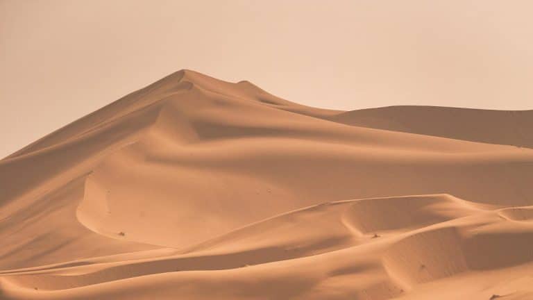 En Algérie, des images spectaculaires de neige dans le Sahara