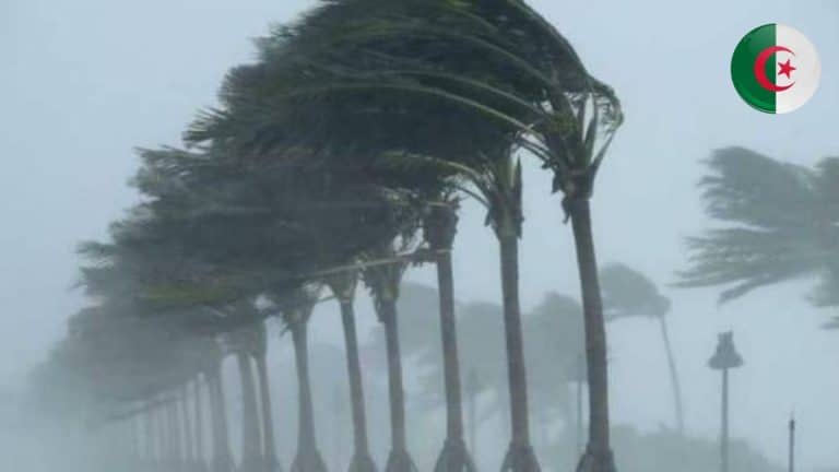 Intempéries en Algérie : ces trois lieux liés aux visas et aux voyages fermés