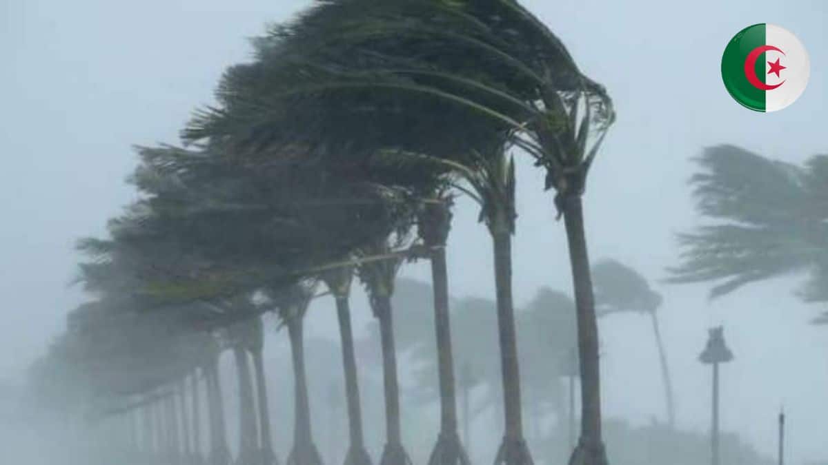 Intempéries en Algérie : ces trois lieux liés aux visas et aux voyages fermés