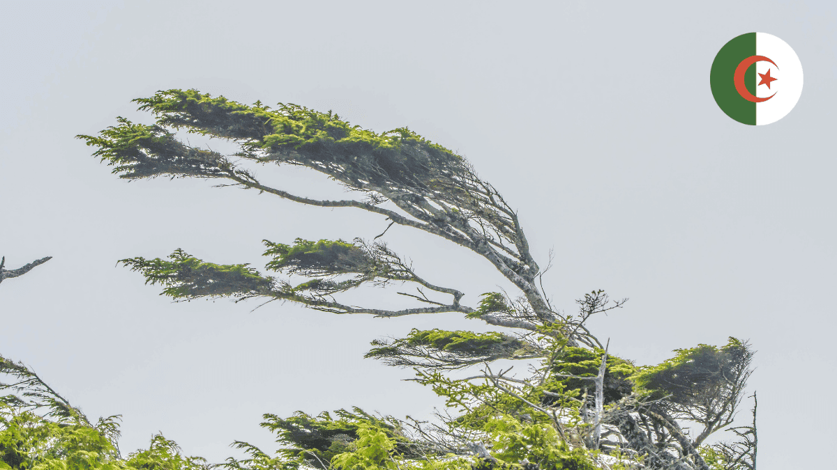 Intempéries en Algérie : les sites touristiques d’Alger fermés