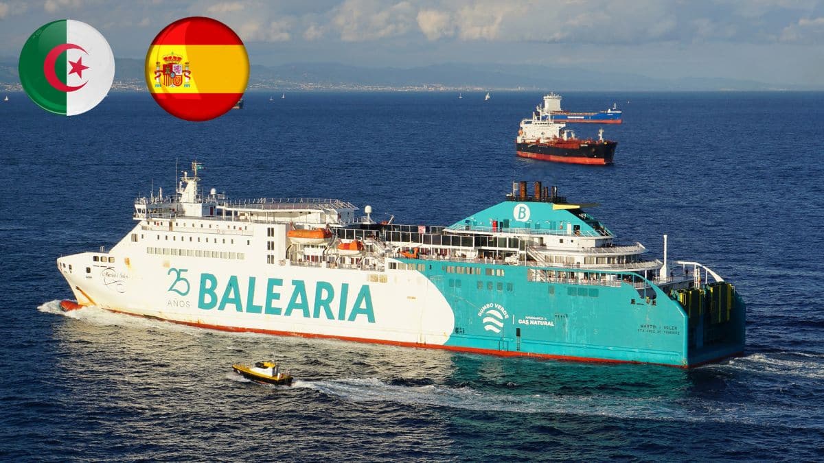 Baleària : les lignes vers l’Algérie propulsent bénéfices et chiffre d’affaires à des niveaux historiques