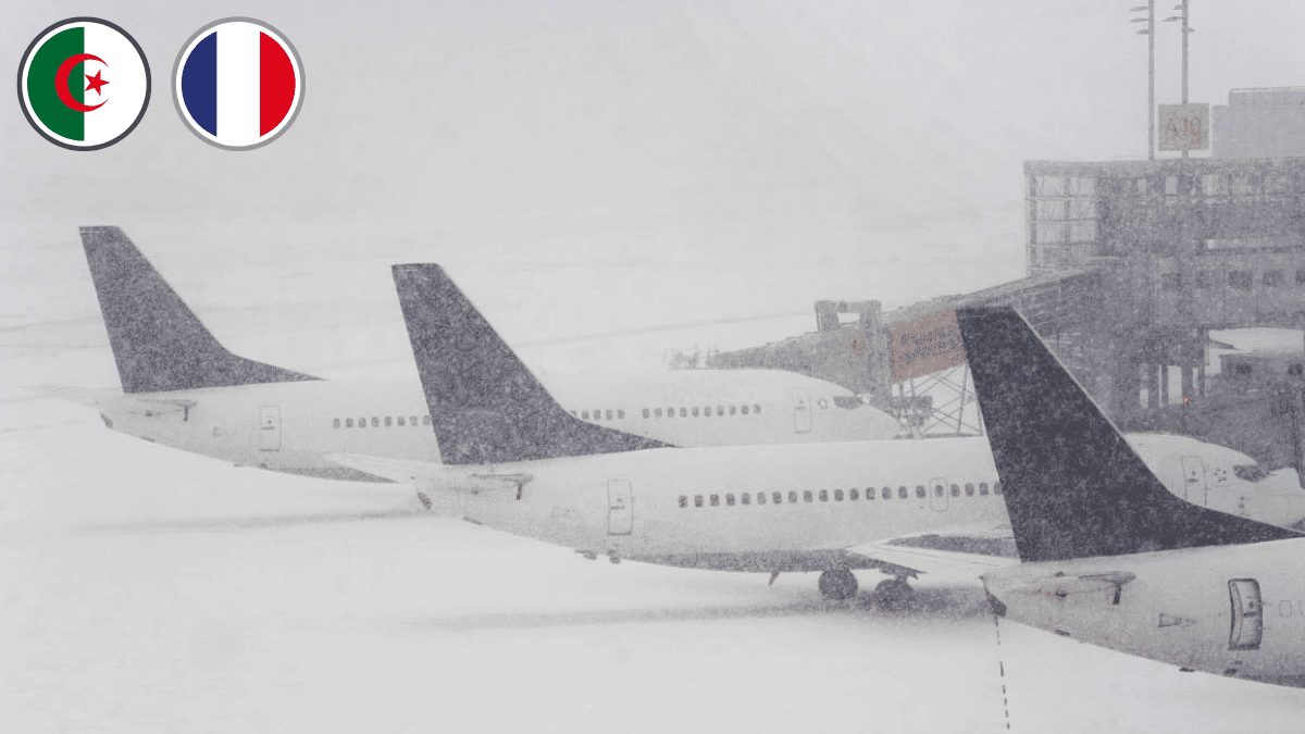 Air Algérie, Transavia : plusieurs vols annulés ce dimanche entre la France et l’Algérie
