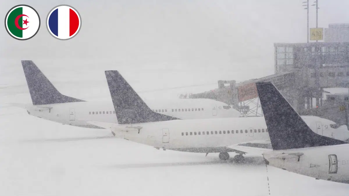 Air Algérie, Transavia : plusieurs vols annulés ce dimanche entre la France et l’Algérie
