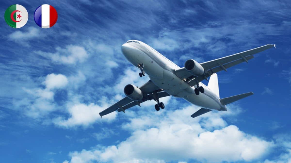 France – Algérie : Vueling jette l’éponge, Volotea et Transavia prennent le relais