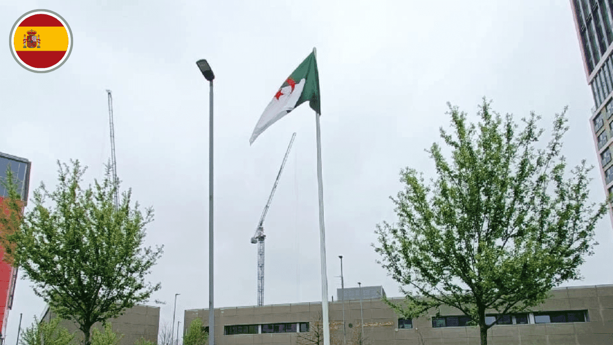 Régularisations : un consulat d’Algérie en Espagne enregistre un nombre record de procurations