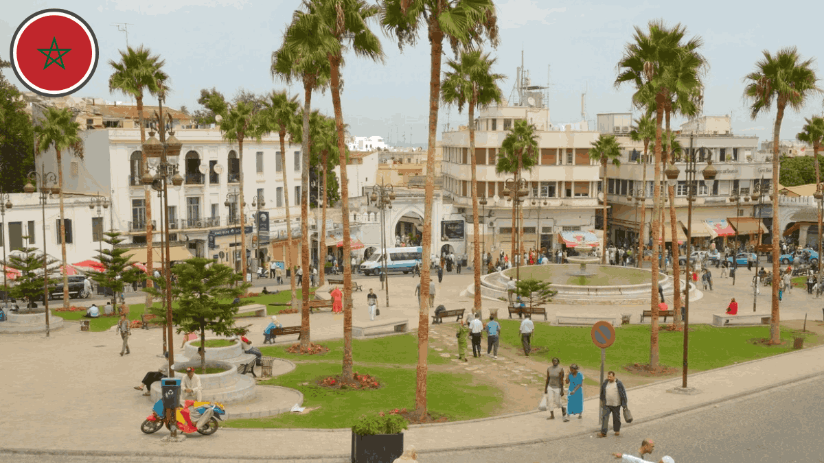 Maroc : alerte aux chiens errants dans une grande ville touristique marocaine